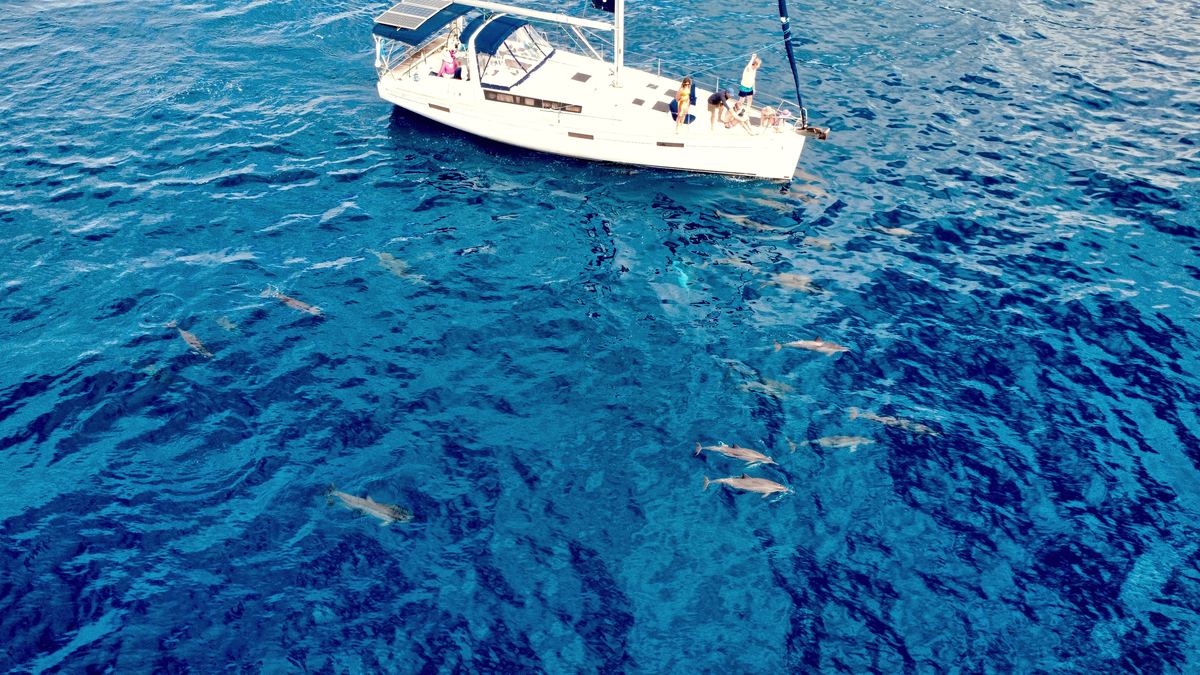 Aerial view of SV Kainani with a pod of spinner dolphins swimming alongside